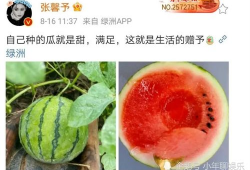 最近娱乐圈有什么瓜吃,明星秘闻大揭秘！