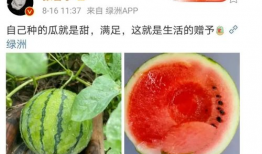 最近娱乐圈有什么瓜吃,明星秘闻大揭秘！