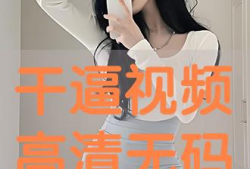 免费干b视频,揭秘热门娱乐内容的魅力与争议